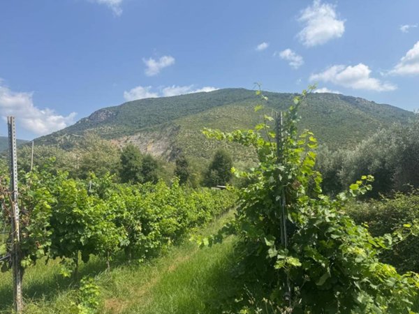 terreno agricolo in vendita a Sermoneta