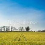 terreno agricolo in vendita a Sermoneta