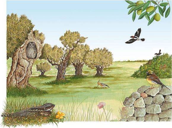 casa indipendente in vendita a Sermoneta in zona Tufette