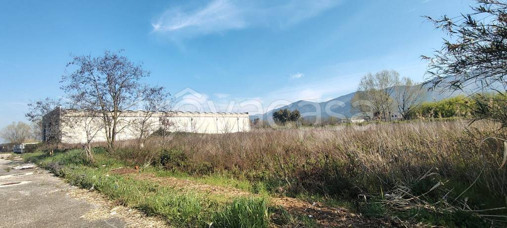 terreno agricolo in vendita a Sermoneta in zona Sermoneta Scalo