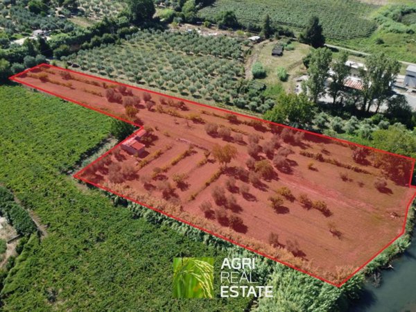 terreno agricolo in vendita a Sermoneta