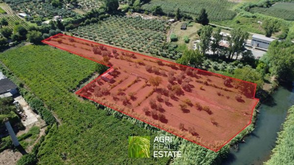 terreno agricolo in vendita a Sermoneta