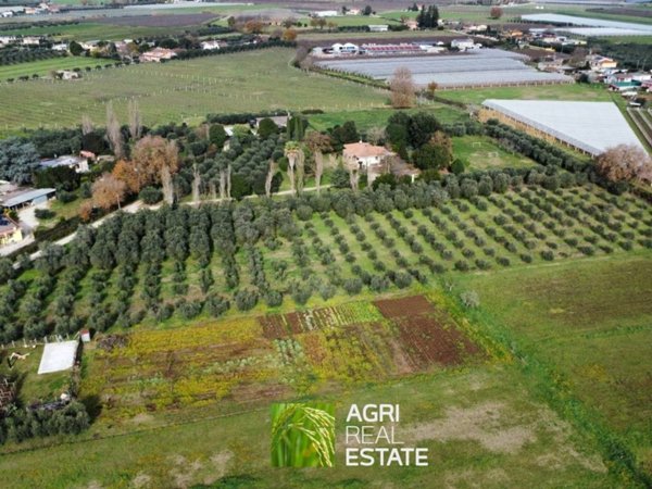 terreno agricolo in vendita a Sermoneta in zona Doganella