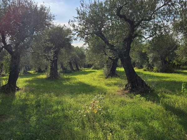 terreno in vendita a Sermoneta