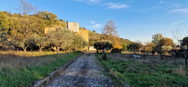casa indipendente in vendita a Sezze