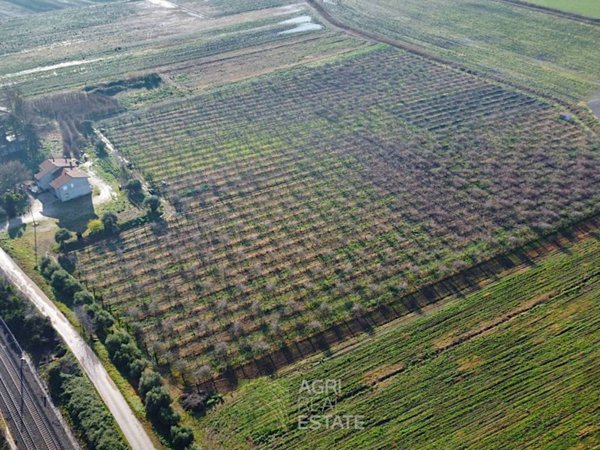 terreno agricolo in vendita a Sezze