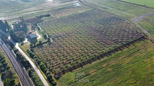 terreno agricolo in vendita a Sezze