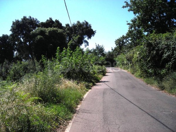 terreno agricolo in vendita a Sezze in zona Foresta