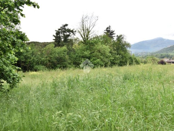 terreno agricolo in vendita a Sezze in zona Suso