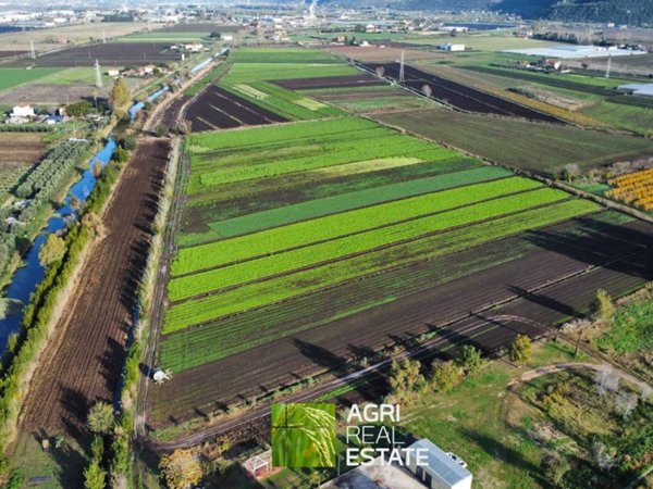 terreno agricolo in vendita a Sezze in zona Sezze Scalo