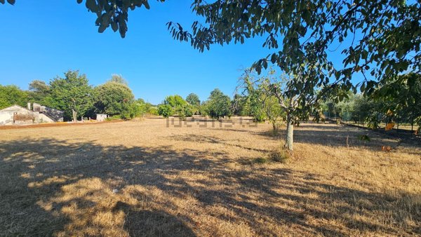 terreno edificabile in vendita a Sezze in zona Colli