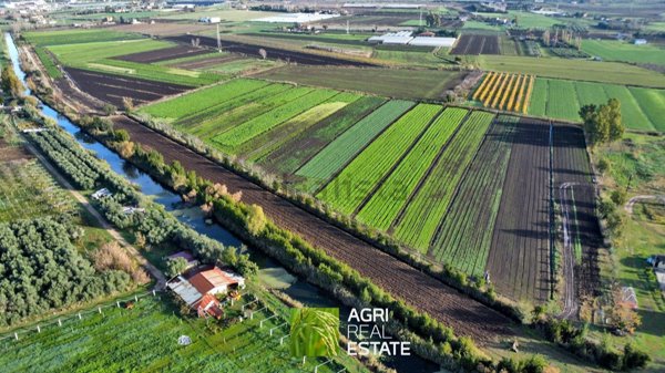 terreno agricolo in vendita a Sezze in zona Sezze Scalo