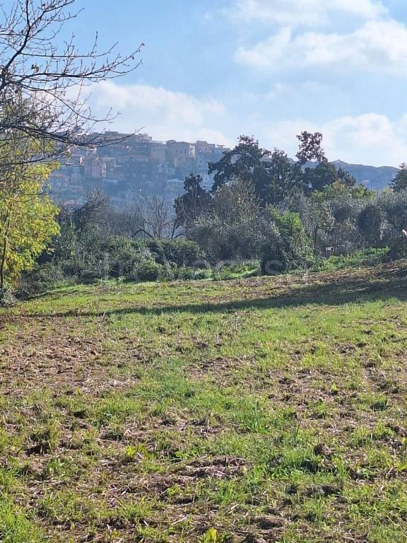 terreno edificabile in vendita a Sezze in zona Casali