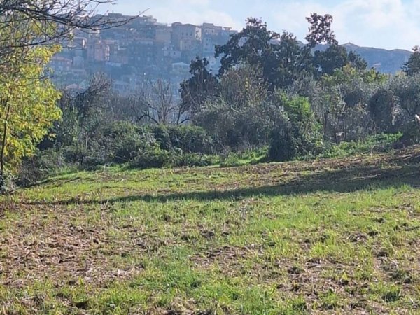 terreno agricolo in vendita a Sezze in zona Casali