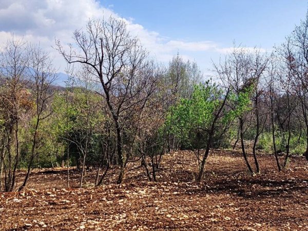 casa indipendente in vendita a Sezze in zona Monte Pilorci
