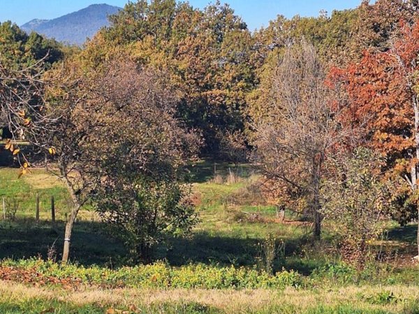 casa indipendente in vendita a Sezze in zona Campo Cervino
