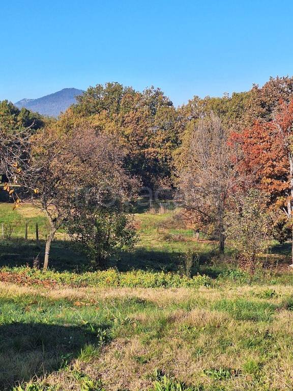 casa indipendente in vendita a Sezze in zona Campo Cervino