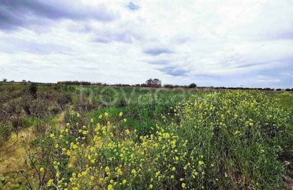 terreno agricolo in vendita a Sezze