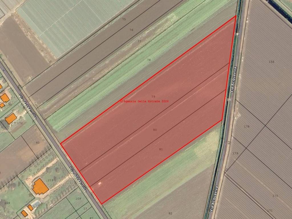 terreno agricolo in vendita a Sezze in zona Sezze Scalo