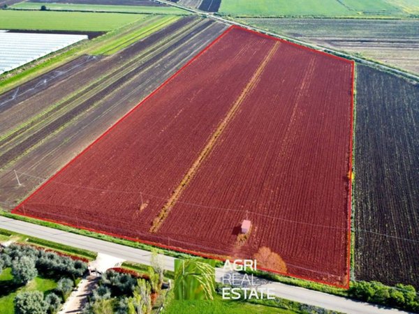 terreno agricolo in vendita a Sezze in zona Sezze Scalo