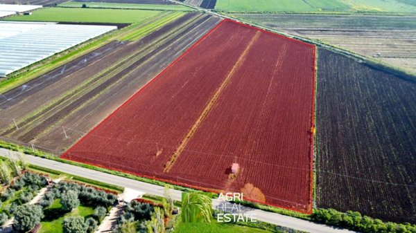terreno agricolo in vendita a Sezze in zona Sezze Scalo
