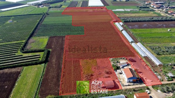 terreno agricolo in vendita a Sezze