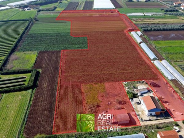 terreno agricolo in vendita a Sezze