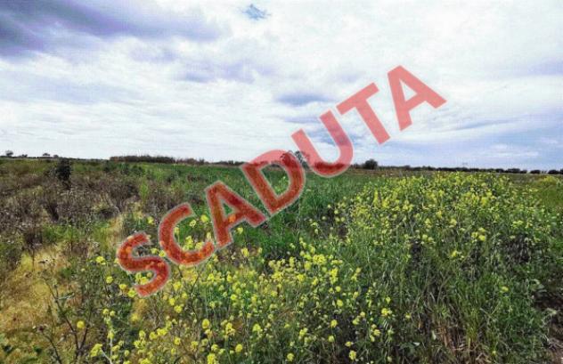 terreno agricolo in vendita a Sezze