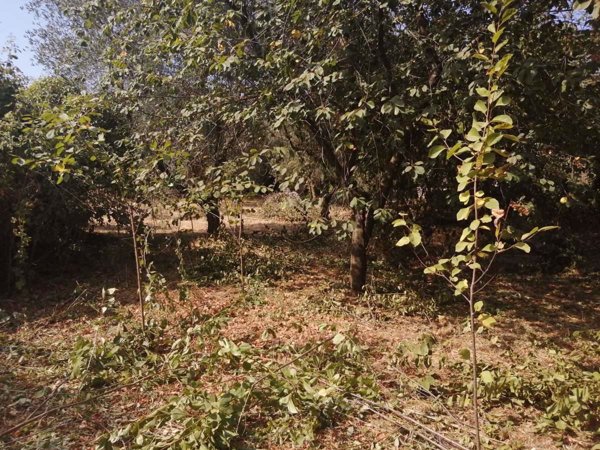 terreno in vendita a Sezze in zona Colli