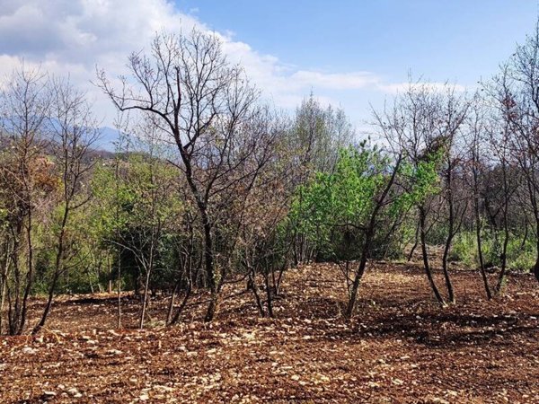 terreno edificabile in vendita a Sezze