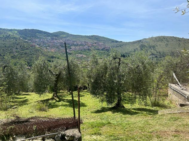 terreno agricolo in vendita a Sonnino