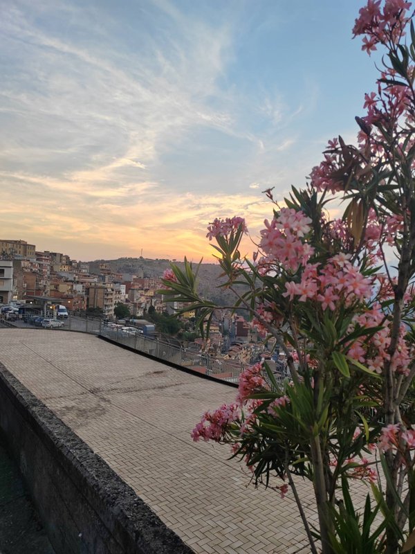 locale commerciale in vendita a Sonnino