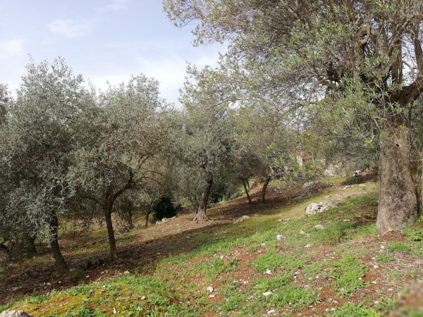 casa indipendente in vendita a Sonnino