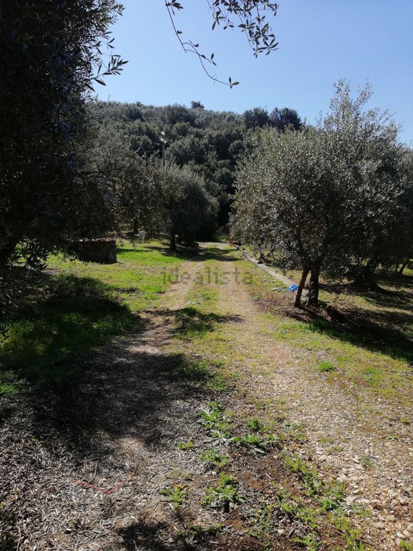 casa indipendente in vendita a Sonnino