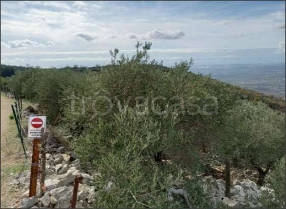 terreno agricolo in vendita a Sonnino