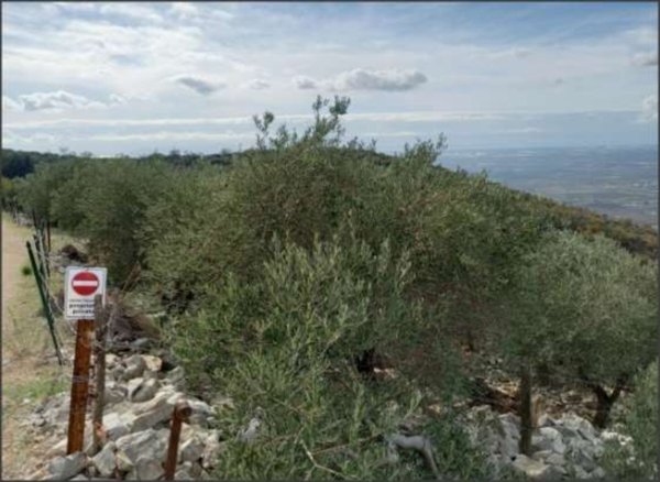 appartamento in vendita a Sonnino