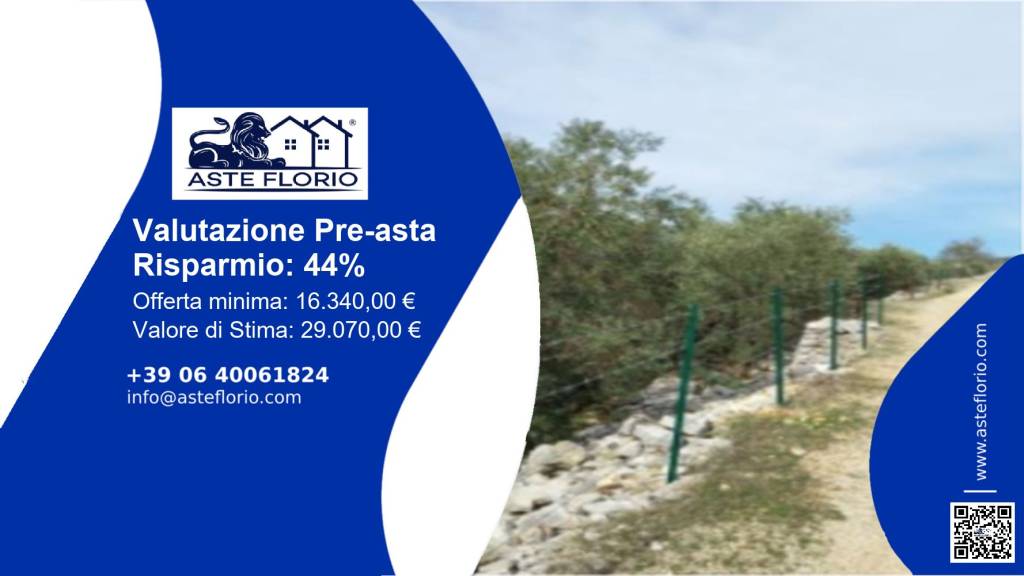terreno agricolo in vendita a Sonnino