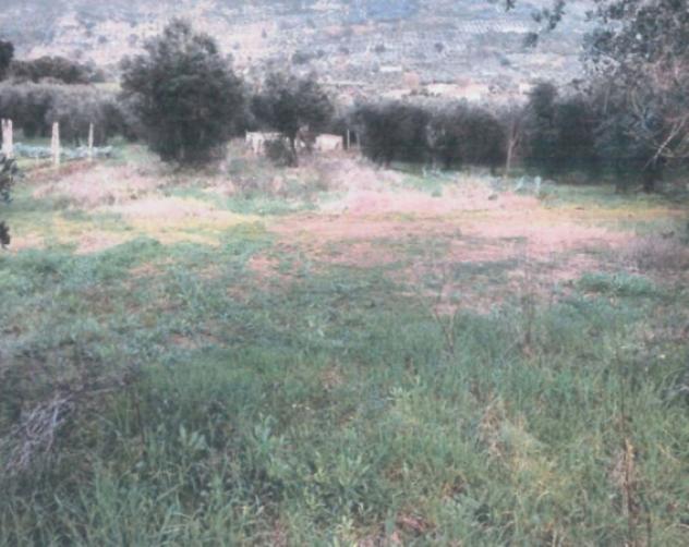 terreno agricolo in vendita a Sonnino