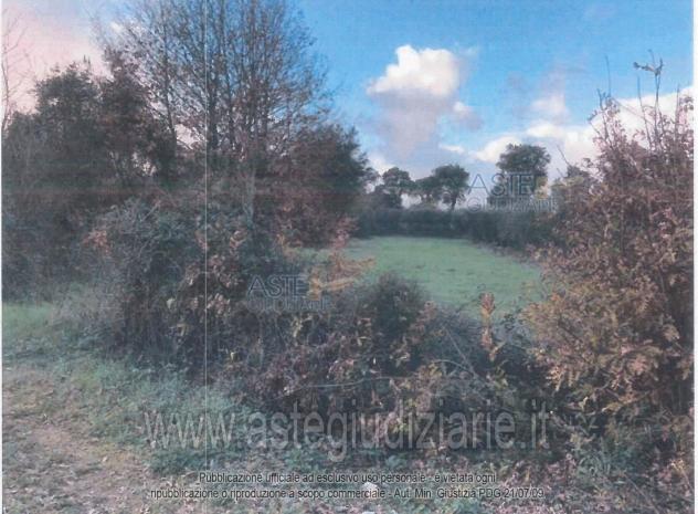 terreno agricolo in vendita a Sonnino