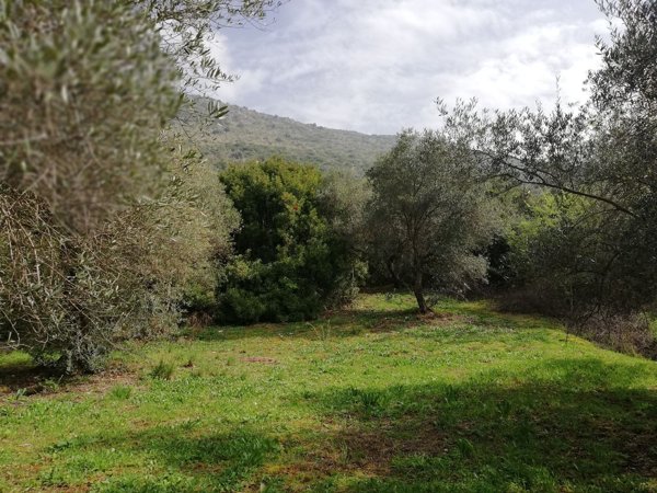 casa indipendente in vendita a Sonnino