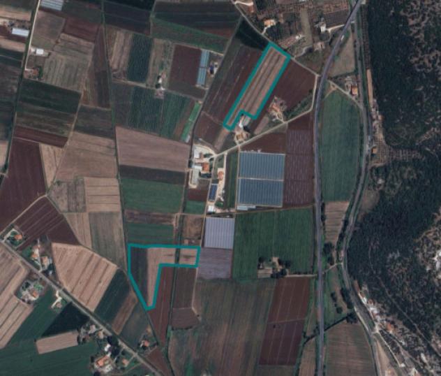 terreno agricolo in vendita a Sonnino