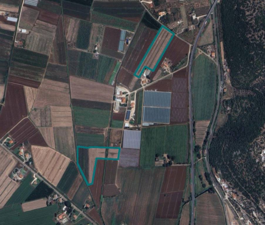 terreno agricolo in vendita a Sonnino