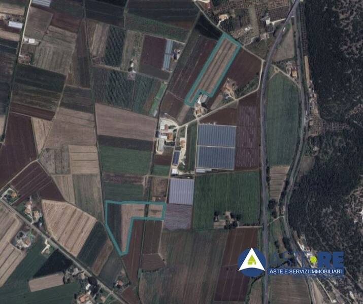 terreno agricolo in vendita a Sonnino
