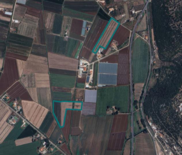 terreno agricolo in vendita a Sonnino