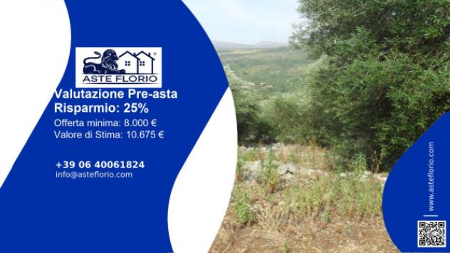 terreno agricolo in vendita a Sonnino
