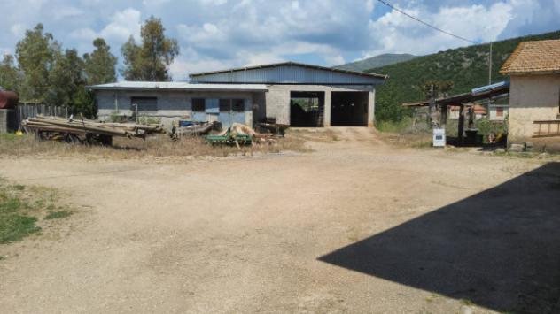 pentavano in vendita a Sonnino