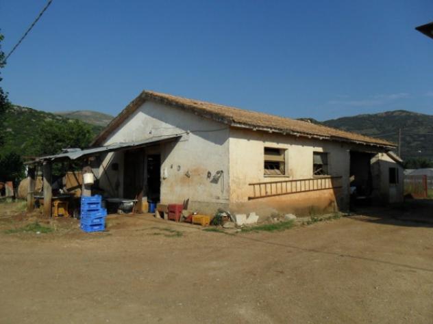 pentavano in vendita a Sonnino