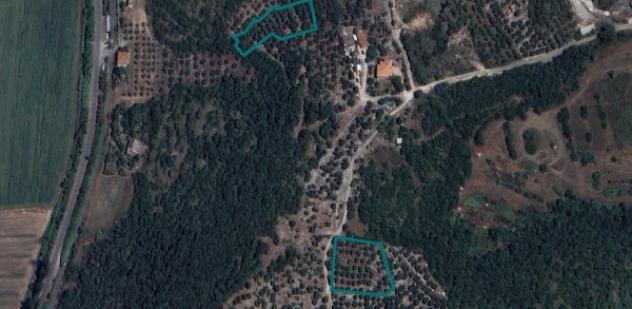 villa in vendita a Sonnino