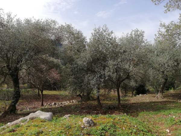 casa indipendente in vendita a Sonnino