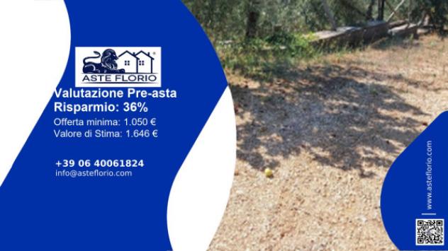 terreno agricolo in vendita a Sonnino